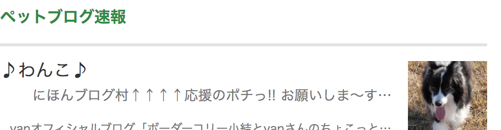 刷新後JavaScriptが無効でもコンテンツが表示されている状態の画像