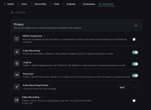 vapi assistant advanced setting page