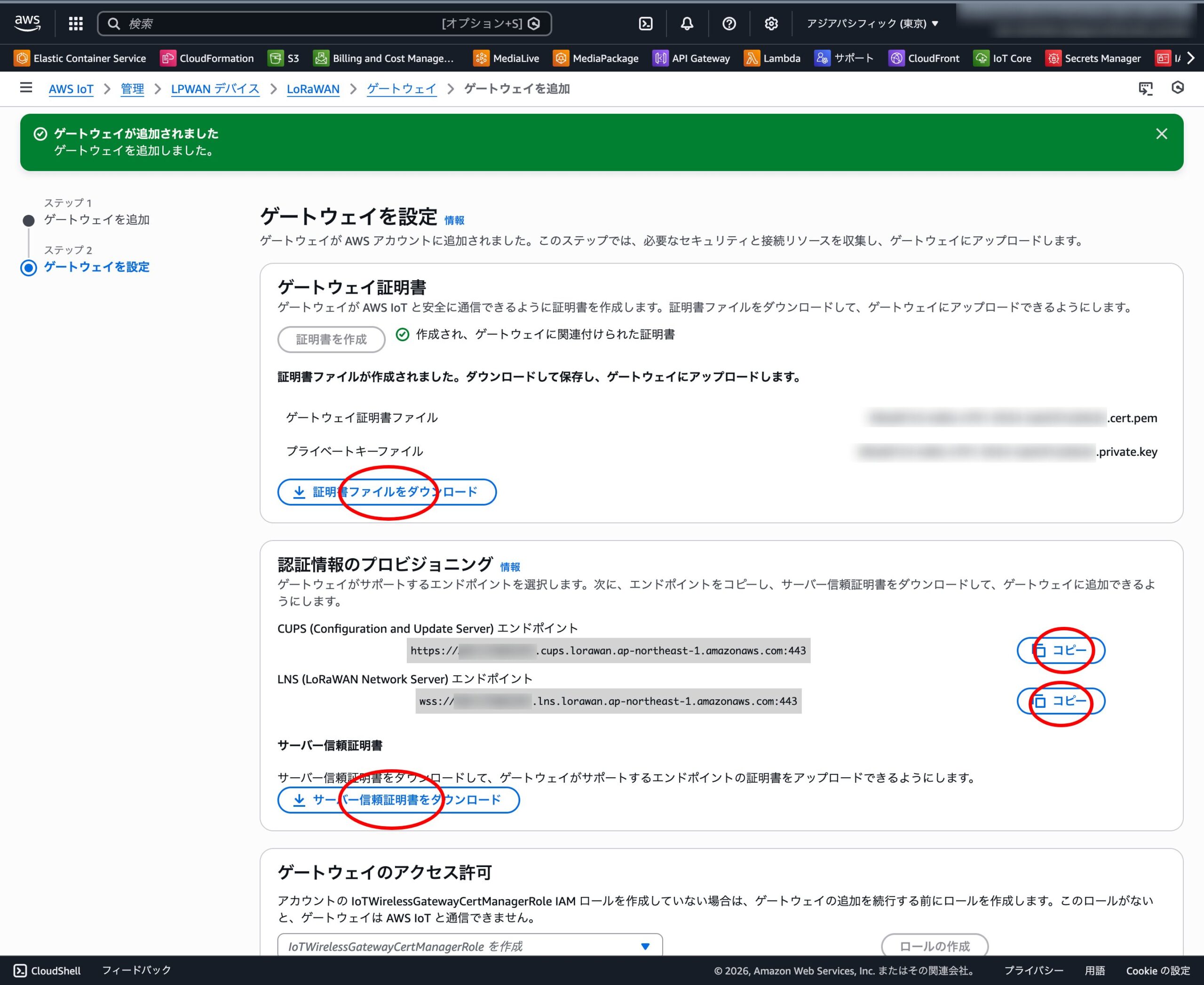 AWS LoRaWAN Gateway 作成完了画面